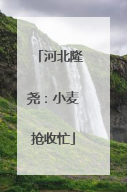 河北隆尧：小麦抢收忙