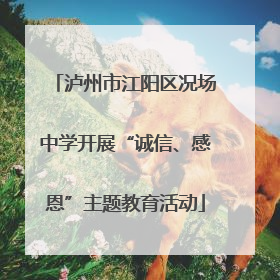 泸州市江阳区况场中学开展“诚信、感恩”主题教育活动