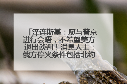 泽连斯基：愿与普京进行会晤，不希望美方退出谈判！消息人士：俄方停火条件包括北约“书面”保证不东扩