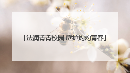 法润菁菁校园 庭护灼灼青春