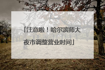 注意啦！哈尔滨师大夜市调整营业时间
