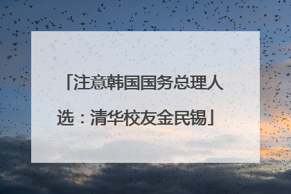 注意韩国国务总理人选：清华校友金民锡