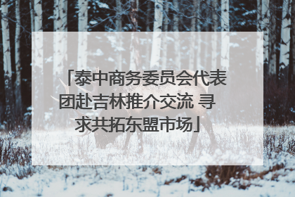 泰中商务委员会代表团赴吉林推介交流 寻求共拓东盟市场