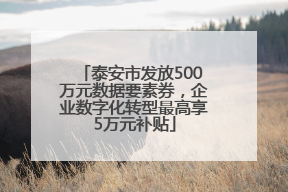 泰安市发放500万元数据要素券，企业数字化转型最高享5万元补贴