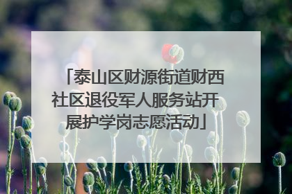 泰山区财源街道财西社区退役军人服务站开展护学岗志愿活动