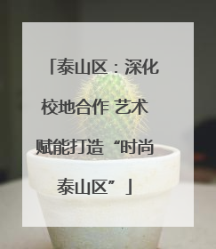 泰山区：深化校地合作 艺术赋能打造“时尚泰山区”
