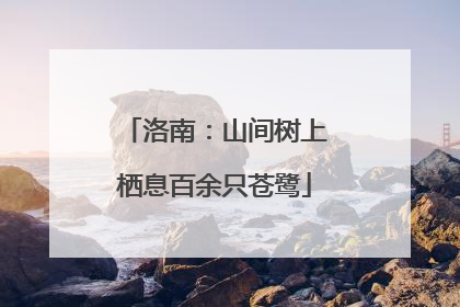 洛南：山间树上栖息百余只苍鹭