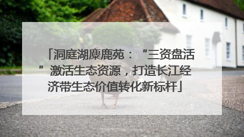 洞庭湖麋鹿苑：“三资盘活”激活生态资源，打造长江经济带生态价值转化新标杆