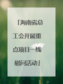 海南省总工会开展重点项目一线慰问活动