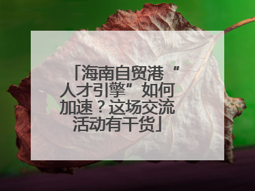 海南自贸港“人才引擎”如何加速？这场交流活动有干货