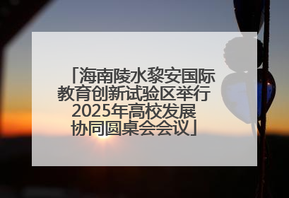 海南陵水黎安国际教育创新试验区举行2025年高校发展协同圆桌会会议