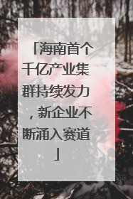 海南首个千亿产业集群持续发力，新企业不断涌入赛道