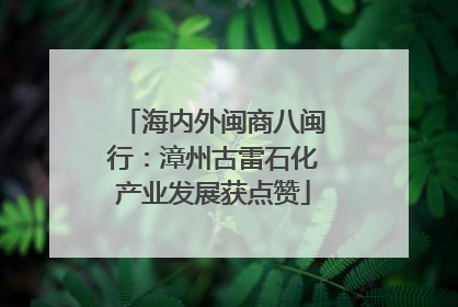 海内外闽商八闽行：漳州古雷石化产业发展获点赞