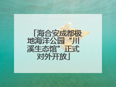 海合安成都极地海洋公园“川溪生态馆”正式对外开放