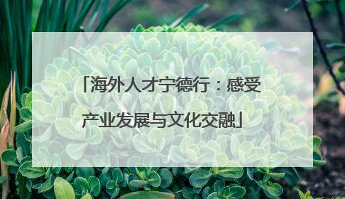 海外人才宁德行：感受产业发展与文化交融