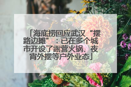 海底捞回应武汉“摆路边摊”：已在多个城市开设了露营火锅、夜宵外摆等户外业态