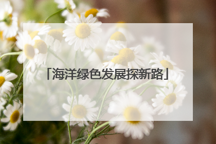 海洋绿色发展探新路