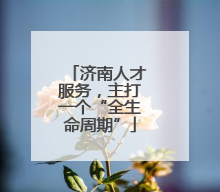 济南人才服务，主打一个“全生命周期”