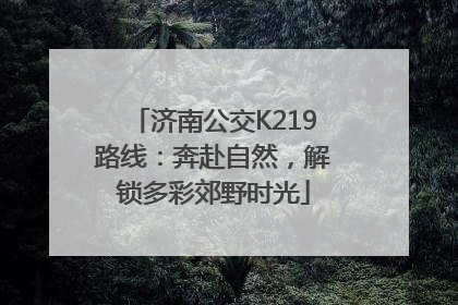 济南公交K219路线：奔赴自然，解锁多彩郊野时光