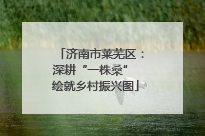 济南市莱芜区：深耕“一株桑” 绘就乡村振兴图