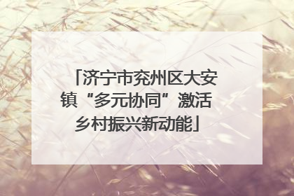 济宁市兖州区大安镇“多元协同”激活乡村振兴新动能