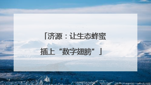 济源：让生态蜂蜜插上“数字翅膀”