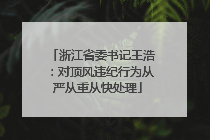 浙江省委书记王浩：对顶风违纪行为从严从重从快处理
