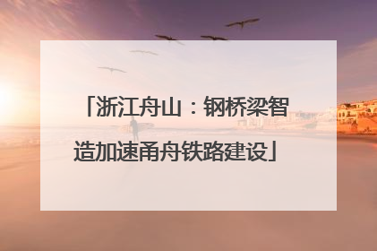 浙江舟山：钢桥梁智造加速甬舟铁路建设