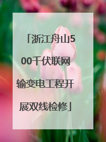 浙江舟山500千伏联网输变电工程开展双线检修