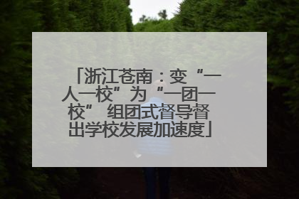 浙江苍南：变“一人一校”为“一团一校” 组团式督导督出学校发展加速度