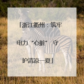 浙江衢州：筑牢电力“心脏” 守护清凉一夏