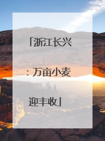 浙江长兴：万亩小麦迎丰收