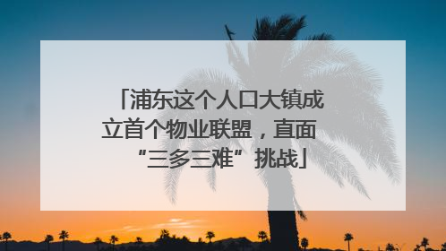 浦东这个人口大镇成立首个物业联盟，直面“三多三难”挑战