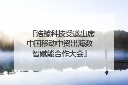 浩鲸科技受邀出席中国移动中资出海数智赋能合作大会