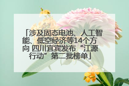 涉及固态电池、人工智能、低空经济等14个方向 四川宜宾发布“江源行动”第二批榜单
