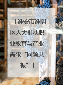 淮安市淮阴区人大推动职业教育与产业需求“同频共振”
