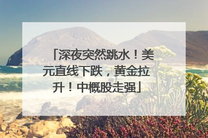 深夜突然跳水！美元直线下跌，黄金拉升！中概股走强