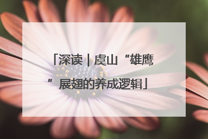 深读｜虞山“雄鹰”展翅的养成逻辑