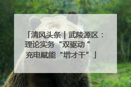 清风头条｜武陵源区：理论实务“双驱动 ” 充电赋能“增才干”