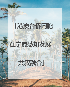港澳台侨同胞在宁夏感知发展 共叙融合