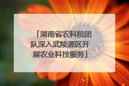 湖南省农科院团队深入武陵源区开展农业科技服务