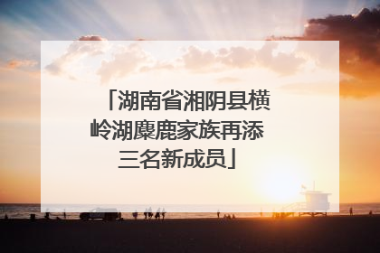 湖南省湘阴县横岭湖麋鹿家族再添三名新成员