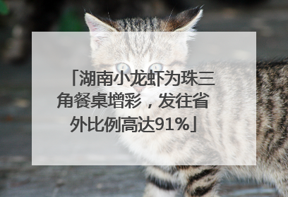 湖南小龙虾为珠三角餐桌增彩，发往省外比例高达91%