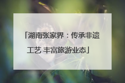湖南张家界：传承非遗工艺 丰富旅游业态
