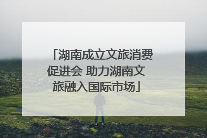 湖南成立文旅消费促进会 助力湖南文旅融入国际市场