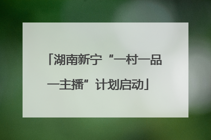 湖南新宁“一村一品一主播”计划启动