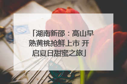 湖南新邵：高山早熟黄桃抢鲜上市 开启夏日甜蜜之旅
