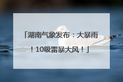 湖南气象发布：大暴雨！10级雷暴大风！
