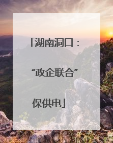 湖南洞口：“政企联合”保供电