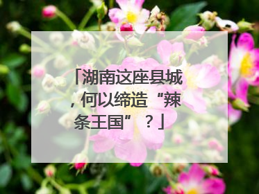 湖南这座县城，何以缔造“辣条王国”？